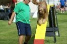 Deutsche Vereinsmeisterschaft Agility am 30./31.08.2008 _51