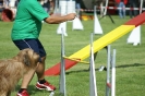 Deutsche Vereinsmeisterschaft Agility am 30./31.08.2008 _54