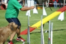 Deutsche Vereinsmeisterschaft Agility am 30./31.08.2008 _54