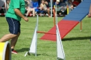 Deutsche Vereinsmeisterschaft Agility am 30./31.08.2008 _55