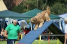 Deutsche Vereinsmeisterschaft Agility am 30./31.08.2008 _59