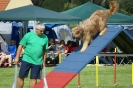 Deutsche Vereinsmeisterschaft Agility am 30./31.08.2008 _60