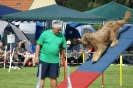 Deutsche Vereinsmeisterschaft Agility am 30./31.08.2008 _61