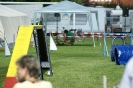 Deutsche Vereinsmeisterschaft Agility am 30./31.08.2008 _62