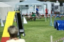 Deutsche Vereinsmeisterschaft Agility am 30./31.08.2008 _63