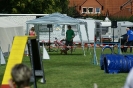 Deutsche Vereinsmeisterschaft Agility am 30./31.08.2008 _65