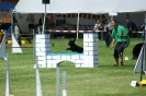 Deutsche Vereinsmeisterschaft Agility am 30./31.08.2008 _82