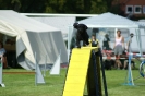 Deutsche Vereinsmeisterschaft Agility am 30./31.08.2008 _85