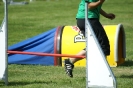 Deutsche Vereinsmeisterschaft Agility am 30./31.08.2008 _89