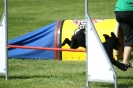 Deutsche Vereinsmeisterschaft Agility am 30./31.08.2008 _90