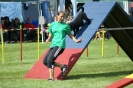 Deutsche Vereinsmeisterschaft Agility am 30./31.08.2008 _93