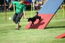 Deutsche Vereinsmeisterschaft Agility am 30./31.08.2008 _94