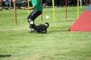 Deutsche Vereinsmeisterschaft Agility am 30./31.08.2008 _95