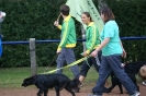 Deutsche Vereinsmeisterschaft Agility am 30./31.08.2008 _9