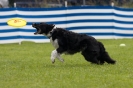 Disc Dog Turnier am 19.07.2009 