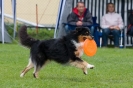 Disc Dog Turnier am 19.07.2009  _76