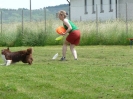 DiscDog-Vorführung bei den Hundefreunden Eggenfelden am 01.06.2008 _10