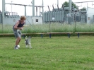 DiscDog-Vorführung bei den Hundefreunden Eggenfelden am 01.06.2008 _153