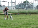 DiscDog-Vorführung bei den Hundefreunden Eggenfelden am 01.06.2008 _155