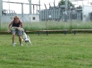 DiscDog-Vorführung bei den Hundefreunden Eggenfelden am 01.06.2008 _156