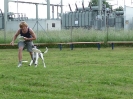 DiscDog-Vorführung bei den Hundefreunden Eggenfelden am 01.06.2008 _157