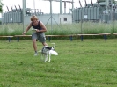 DiscDog-Vorführung bei den Hundefreunden Eggenfelden am 01.06.2008 _158