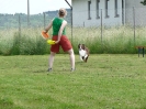 DiscDog-Vorführung bei den Hundefreunden Eggenfelden am 01.06.2008 _1