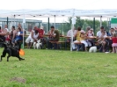 DiscDog-Vorführung bei den Hundefreunden Eggenfelden am 01.06.2008 