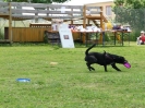 DiscDog-Vorführung bei den Hundefreunden Eggenfelden am 01.06.2008 _214