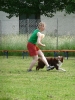 DiscDog-Vorführung bei den Hundefreunden Eggenfelden am 01.06.2008 _218