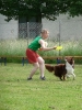 DiscDog-Vorführung bei den Hundefreunden Eggenfelden am 01.06.2008 _219