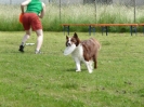 DiscDog-Vorführung bei den Hundefreunden Eggenfelden am 01.06.2008 _29