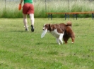 DiscDog-Vorführung bei den Hundefreunden Eggenfelden am 01.06.2008 _30