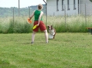 DiscDog-Vorführung bei den Hundefreunden Eggenfelden am 01.06.2008 _3