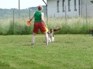 DiscDog-Vorführung bei den Hundefreunden Eggenfelden am 01.06.2008 _4