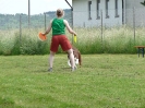 DiscDog-Vorführung bei den Hundefreunden Eggenfelden am 01.06.2008 _5