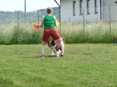 DiscDog-Vorführung bei den Hundefreunden Eggenfelden am 01.06.2008 _6