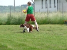 DiscDog-Vorführung bei den Hundefreunden Eggenfelden am 01.06.2008 _7