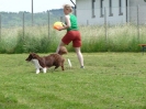 DiscDog-Vorführung bei den Hundefreunden Eggenfelden am 01.06.2008 _8