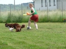 DiscDog-Vorführung bei den Hundefreunden Eggenfelden am 01.06.2008 _9