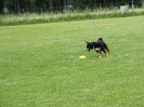 Landessiegerprüfung Obedience am 30.05.2009  _100