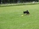 Landessiegerprüfung Obedience am 30.05.2009  _100