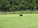 Landessiegerprüfung Obedience am 30.05.2009  _101