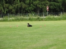 Landessiegerprüfung Obedience am 30.05.2009  _102