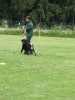 Landessiegerprüfung Obedience am 30.05.2009  _104