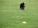 Landessiegerprüfung Obedience am 30.05.2009  _106