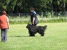 Landessiegerprüfung Obedience am 30.05.2009  _10