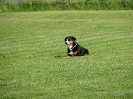 Landessiegerprüfung Obedience am 30.05.2009  _30