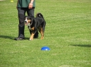 Landessiegerprüfung Obedience am 30.05.2009  _32