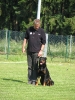 Landessiegerprüfung Obedience am 30.05.2009 